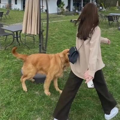 微笑如月